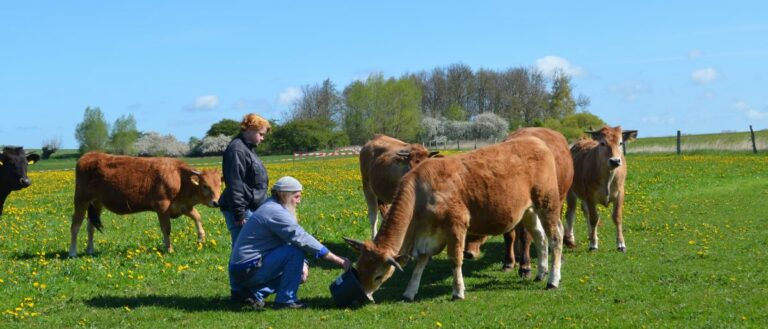 Ökologische Landwirtschaft