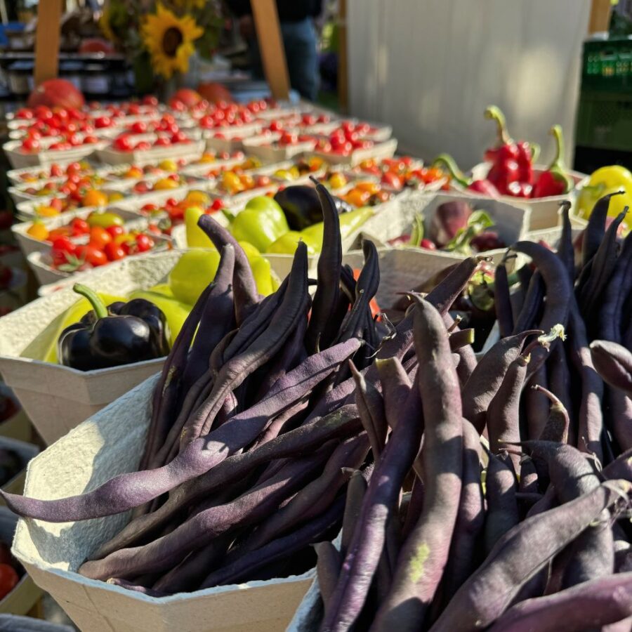 Bunte Gemüsevielfalt auf dem Hoffest