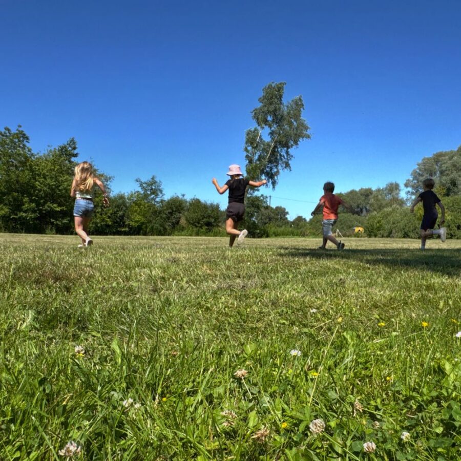 Wettrennen über die Wiese